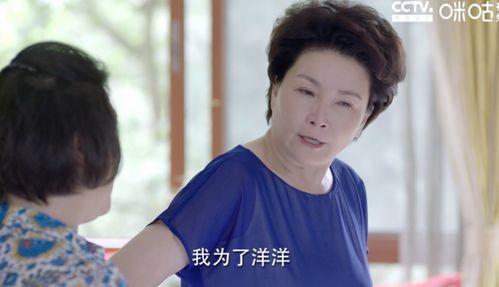 国产母子,传承与创新的故事  第3张