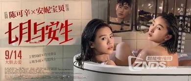 国产女同调教,探索情感与成长的独特旅程  第3张