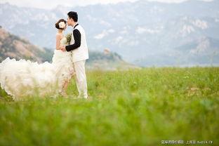 青青青草国产免费,国产影视的清新之作  第2张