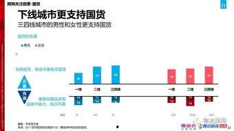 国产57页,揭秘我国科技发展的新篇章  第3张