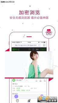 1204基地国产看片你懂的,国产影视盛宴背后的故事  第3张