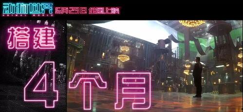 最新国产福利视频  第3张