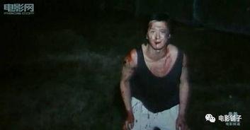 国产性虐,揭秘国产影视作品中的独特魅力与争议 第2张 国产性虐,揭秘国产影视作品中的独特魅力与争议 第2张